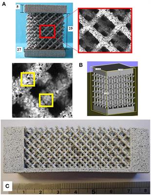 The Effects of Defects and Damage in the Mechanical Behavior of Ti6Al4V Lattices